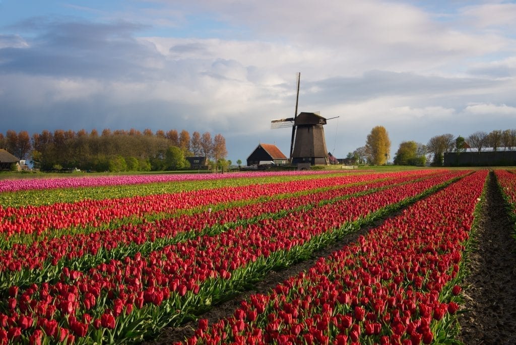 10 redenen om naar Alkmaar te verhuizen
